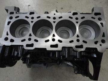 BLOK PO REGENERACJI RENAULT OPEL NISSAN 2.0 DCI