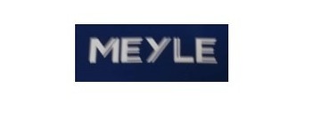 Meyle 100 199 3107/S Łożyskowanie silnika