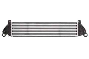 Intercooler THERMOTEC DA3003TT