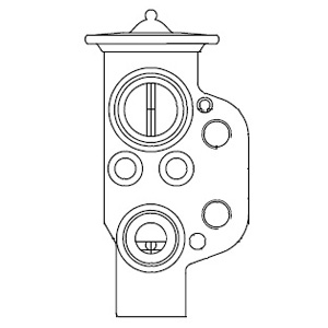 DELPHI Розширювальний клапан, кондиціонер CB1004V