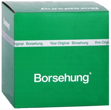 Шланг Системи охолодження Borsehung B19268