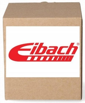 Eibach понижуючі пружини E8420-140