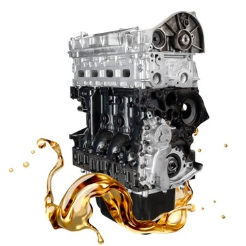 Двигун Fiat Ducato IVeco 2.3 JTD F1AE3481 EURO 5