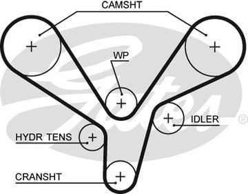 РЕМЕНЬ ГРМ GATES 5636XS