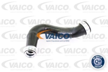 VAICO повітропровід наддуву V10-2903