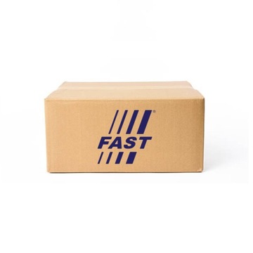 Fast FT13315 Pakiet sprężyn