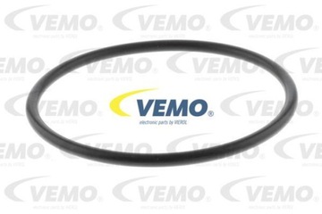 Vemo V10-63-0101 кільце ущільнювача, трубопровід