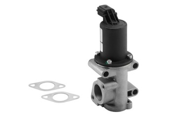 Zawór EGR BorgWarner (Wahler) 710960R