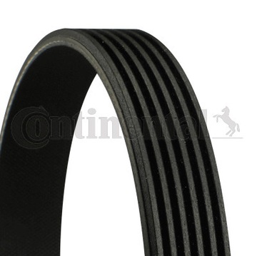 MULTI-V BELT ELAST + TOOL 6PK1059ELASTT2 CONTI