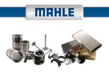 Mahle CLC 100 000P Chłodnica oleju, układ