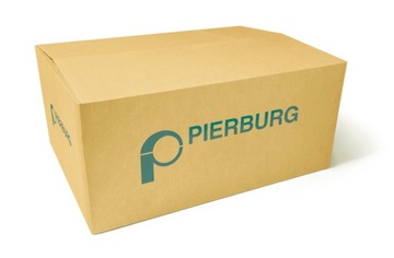 Pierburg 7.22166.00.0 модуль повітряного насоса
