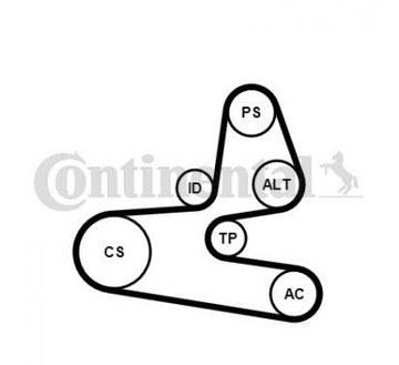 CONTITECH ZESTAW PASKA MICRO-V 6PK1564K1