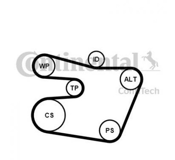 CONTITECH MICRO-V БАГАТОЖИЛЬНИЙ РЕМІНЬ 6PK1538K1