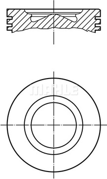 Mahle 007 PI 00109 000 поршень