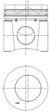 Поршень (ср. 102MM, STD) AG CHEM XX3 / XXX3, XX4 /