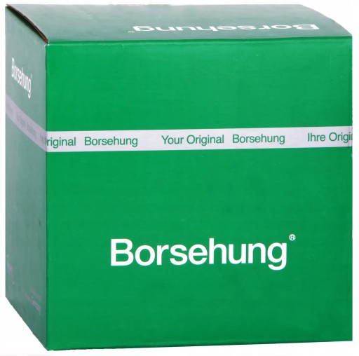 Zestaw pierścieni tłoka Borsehung B19303 - 1