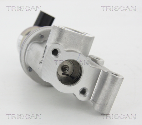 Клапан рециркуляції відпрацьованих газів TRISCAN 8813 43021 - 4