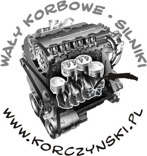 VW T5 2.5 TDI AXD AXE BPC вниз двигун після регенерації - 5