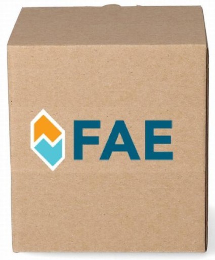 Електропневматичний клапан управління FAE FAE56031 - 5