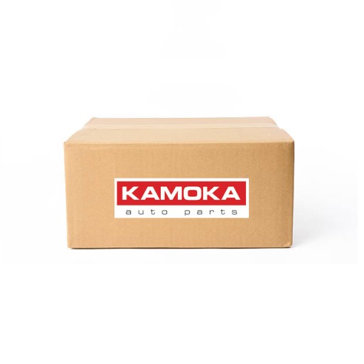 ФІЛЬТР САЖІ FAP DPF 8010023 KAMOKA - 1