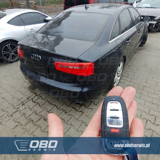 Одис онлайн сессия VW Audi Skoda Seat Познань - 3