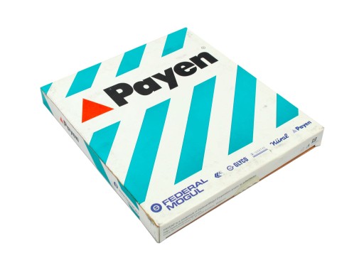 Комплект прокладок двигуна Payen CC5110 - 4
