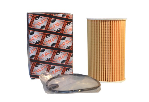 Масляний фільтр ASHIKA 10-0L-L01 100ll01 - 1