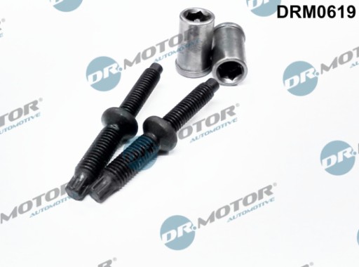 Śruba, wtryskiwacz DR.MOTOR AUTOMOTIVE DRM0619 - 2