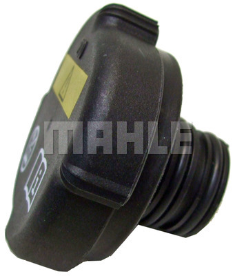 MAHLE CRB 22 000P ПРОБКА BMW - 12