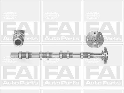 FAI AUTOPARTS C252 клапан перестановка фаз вала r - 4