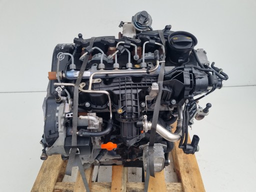Двигун в зборі Seat Leon II 1.6 TDI 105km 137TYS CAY CAYC - 1