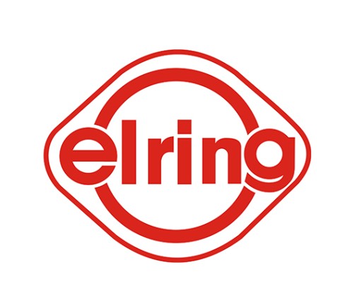 ELRING 124.791 Комплект болтів головки блоку циліндрів - 6