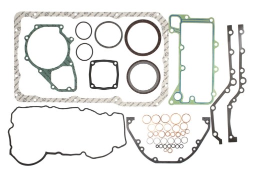 Комплект прокладок двигуна Down Elring 812.560 - 2