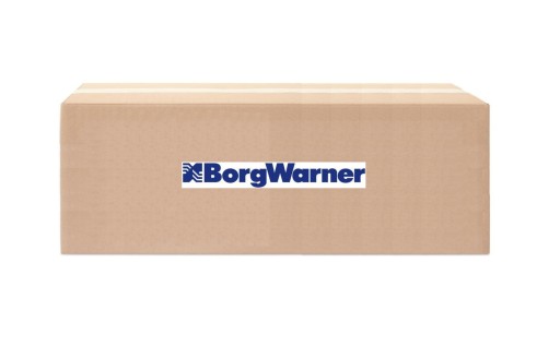 Масляний насос BORGWARNER DS2010677 - 1