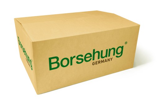 Borsehung b18737 масляный насос - 4