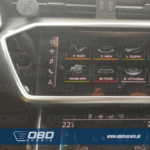 Одис онлайн сессия VW Audi Skoda Seat Познань - 6