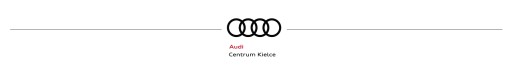 Подголовник Audi A4 B6 / B7 оригинал ASO - 14