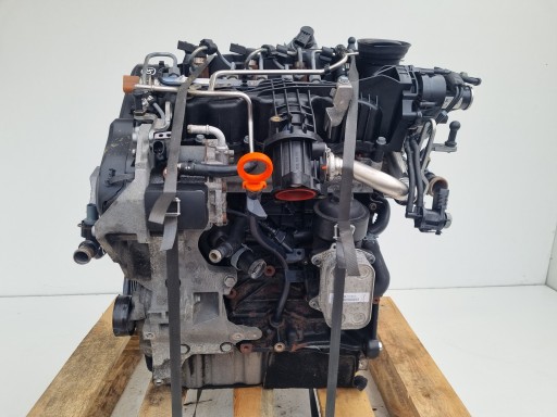 Двигун в зборі Seat Leon II 1.6 TDI 105km 137TYS CAY CAYC - 3