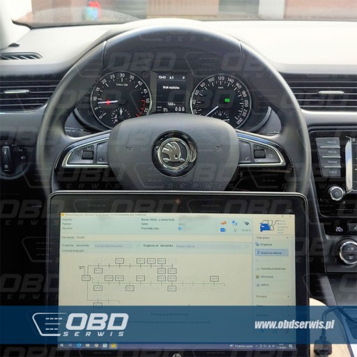 Одис онлайн сессия VW Audi Skoda Seat Познань - 2