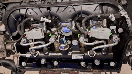 Citroen Peugeot 2.0 HDI RH02 інжектори уприскування повний комплект 9686191080 - 1