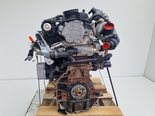 Двигун в зборі Seat Leon II 1.6 TDI 105km 137TYS CAY CAYC - 10