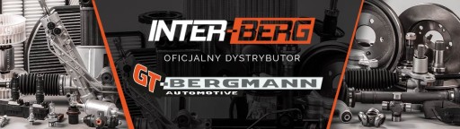 GT-Bergmann GT80 - 264 GT-БЕРГМАН 80-264 - 3