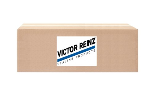 REINZ 01-10200-01 повний комплект прокладок, siln - 3