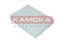 Повітряний фільтр салону KAMOKA f419301 En Distribution