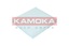Повітряний фільтр салону KAMOKA f420401 En розподіл