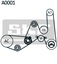 Комплект клинового ременя SKF для VW PASSAT B5 1.9 TDI