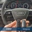 Одис онлайн сессия VW Audi Skoda Seat Познань