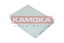 Повітряний фільтр салону KAMOKA f419301 En Distribution