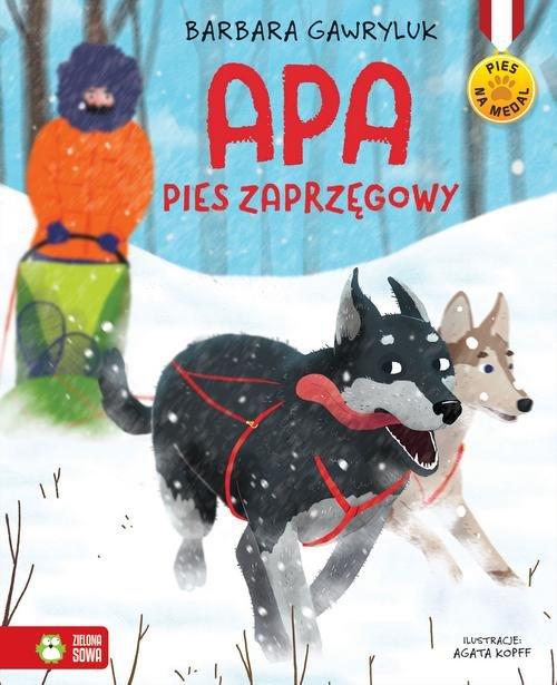 

Pies na medal Apa pies zaprzęgowy Barbara Gawryluk