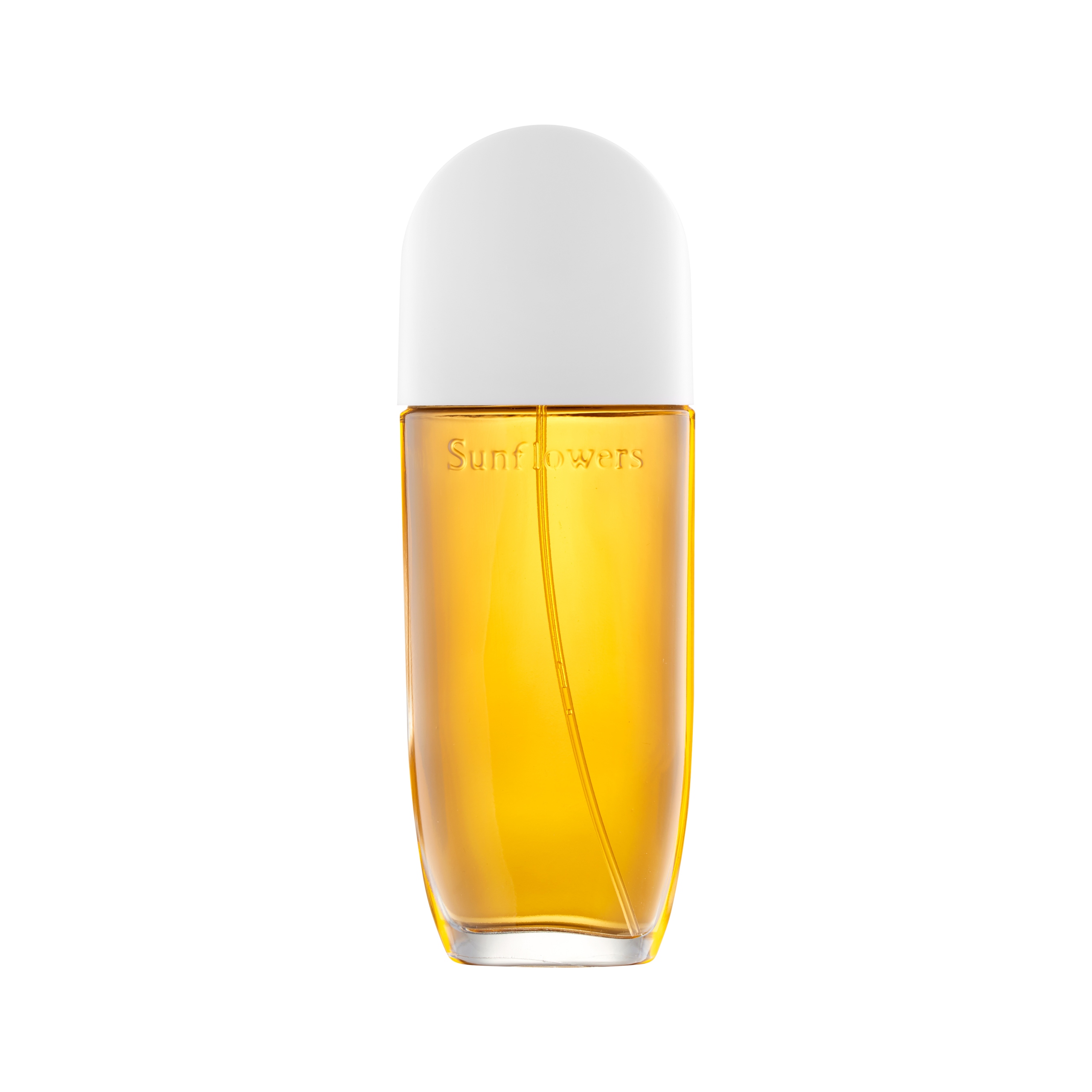 

Woda toaletowa Elizabeth Arden 100 ml